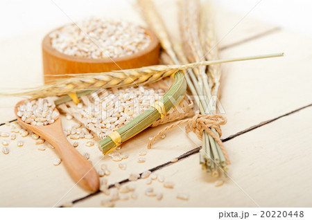 organic wheat grains 20220448
