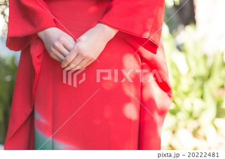 Furisode (kimono with long, trailing sleeves) 20222481