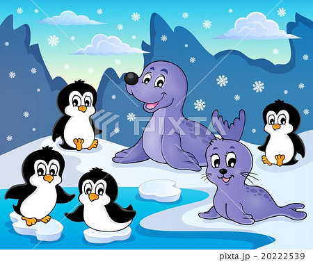 Seals and penguins theme image 2 Seals and penguins theme image 2 20222539