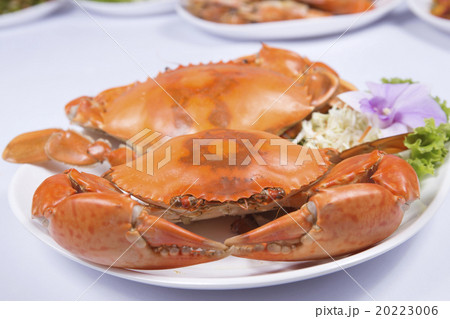 Fresh Big steam crab on the plate Fresh Big steam crab on the plate 20223006