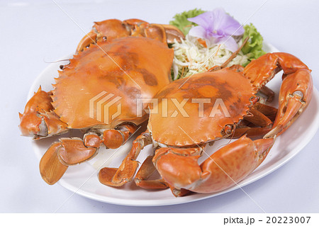 Fresh Big steam crab on the plate 20223007