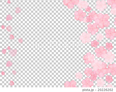 Cherry blossom petal cherry blossom snow Heart cut illustrations copy space frame frame watercolor hand-painted handwriting 20226202