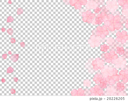 桜 花びら 桜吹雪 イラスト サクラ 和 可愛い ソメイヨシノ フレーム 新緑 水彩画 背景イラストのイラスト素材 2265