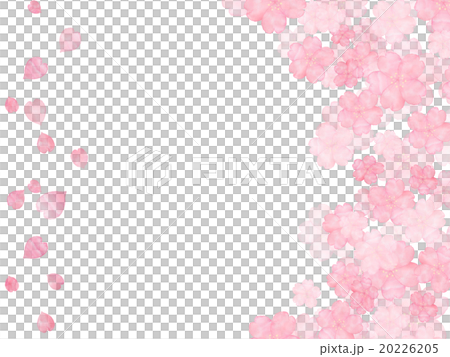 Sakura Petal Sakuraguki Illustration Cherry Stock Illustration 2265