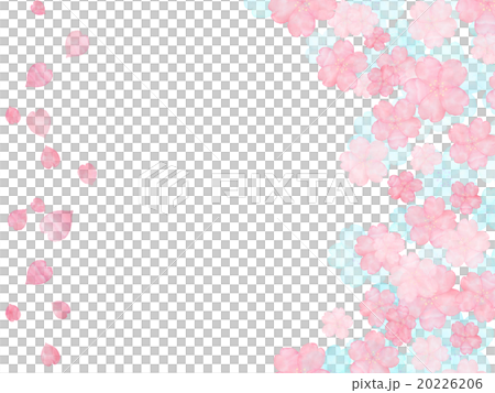 櫻花花瓣Sakuragi雪新綠色刷新的例證拷貝空間框架框架水彩手拉的手寫 20226206