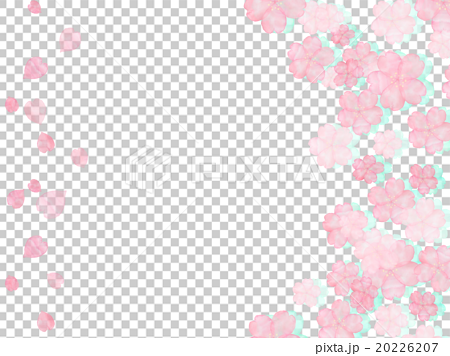 桜 花びら 桜吹雪 ハート かわい イラスト コピースペース 額 フレーム 水彩画 手描き 手書き のイラスト素材 2267