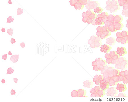桜　花びら　桜吹雪　新緑　爽やか　イラスト　コピースペース　額　フレーム　水彩画　手描き　手書き　 20226210