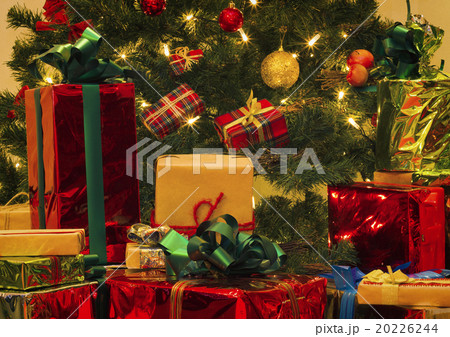 Christmas Christmas 20226244
