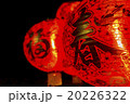 Chinese red lantern , Lunar new year  20226322