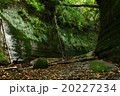 トンネル 20227234