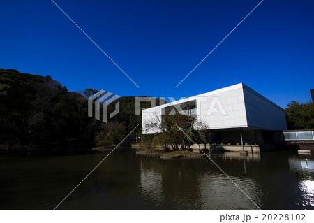 神奈川県立近代美術館 20228102