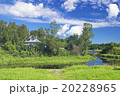 Countryside Cottage 20228965