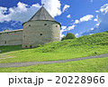 Fortress Tower 20228966