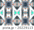 Light grey abstract kaleidoscope 20229113
