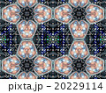 Light grey abstract kaleidoscope 20229114