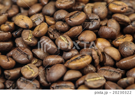 Roasted Coffee Beans 20230322