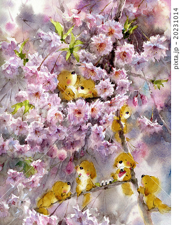 桜と犬 おにぎりのイラスト素材