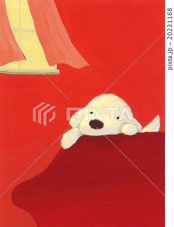 白犬＿赤いソファで 20231168