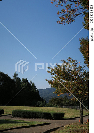 赤城高原サービスエリアの風景 赤城高原サービスエリアの風景 20231388