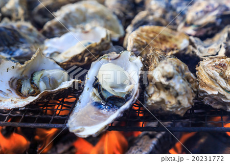 焼き牡蠣 焼き牡蠣 20231772