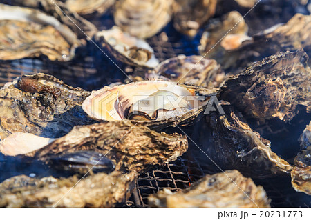 焼き牡蠣 焼き牡蠣 20231773