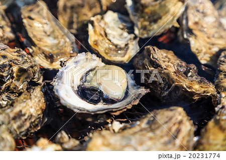 焼き牡蠣 焼き牡蠣 20231774