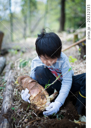 たけのこ狩りをする男の子 たけのこ狩りをする男の子 20232335