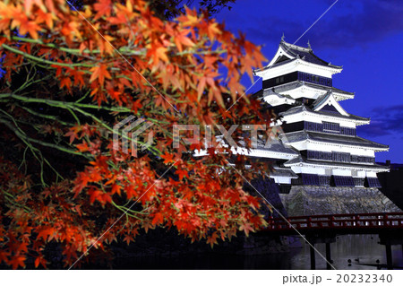 11月長野 松本城・天守閣と紅葉 20232340