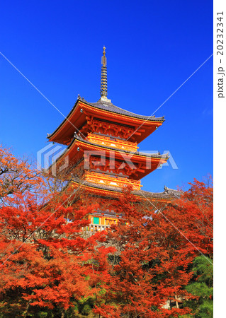 12月京都 清水寺・三重塔と紅葉 20232341