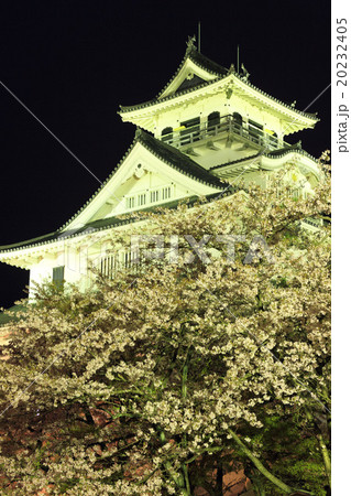 4月滋賀 長浜城・天守閣ライトアップと桜 20232405
