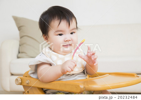 べビーチェアに座って離乳食を食べる赤ちゃん 20232484