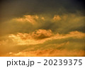 夕陽、夕焼け 20239375