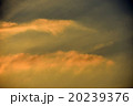 夕陽、夕焼け 20239376