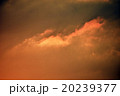夕陽、夕焼け 20239377