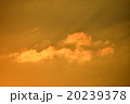 夕陽、夕焼け 20239378