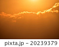 夕陽、夕焼け 20239379