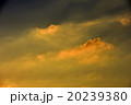 夕陽、夕焼け 20239380