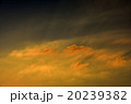 夕陽、夕焼け 20239382