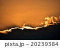 夕陽、夕焼け 20239384