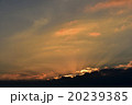 夕陽、夕焼け 20239385