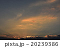 夕陽、夕焼け 20239386