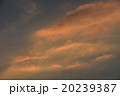 夕陽、夕焼け 20239387