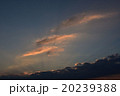 夕陽、夕焼け 20239388