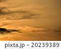 夕陽、夕焼け 20239389