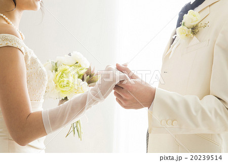 ブライダルイメージ　　　 20239514