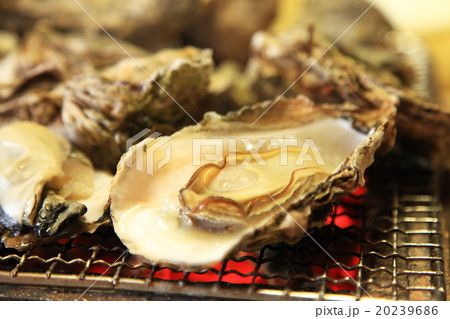 岩牡蠣 焼きガキ 岩牡蠣 焼きガキ 20239686