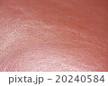 レザー 20240584