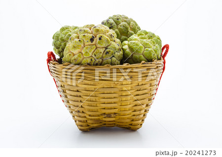 Custard Apple in the Basket Custard Apple in the Basket 20241273