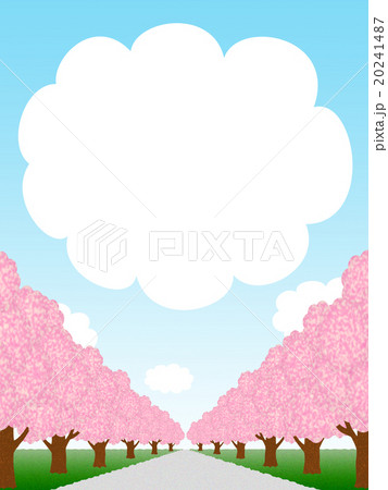 桜並木と雲形フレーム 20241487