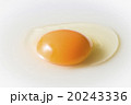 生たまご 20243336